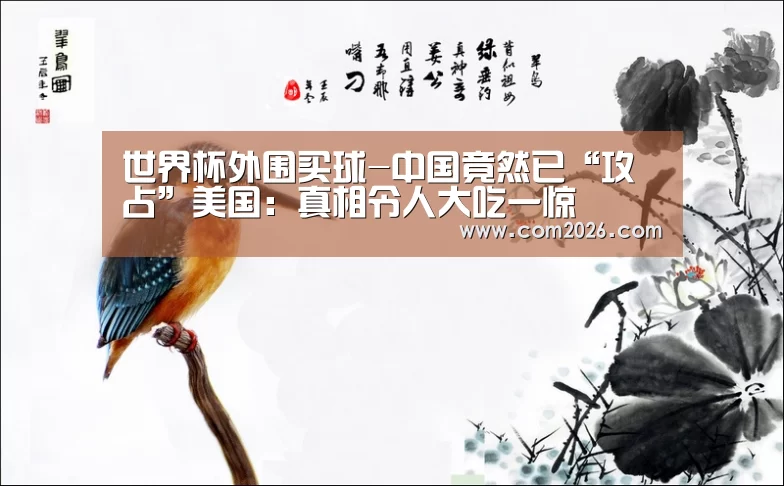 世界杯外围买球-中国竟然已“攻占”美国：真相令人大吃一惊