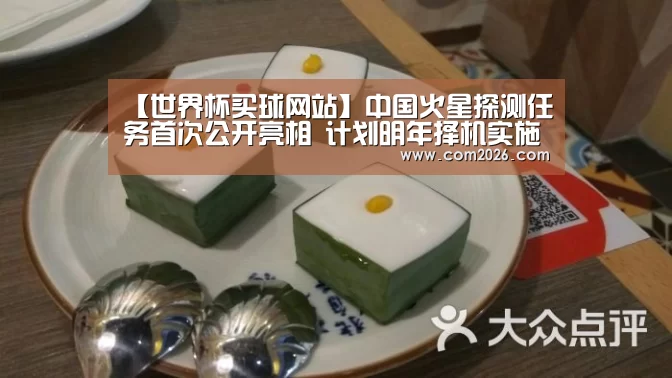 【世界杯买球网站】中国火星探测任务首次公开亮相 计划明年择机实施(图2) 2026世界杯