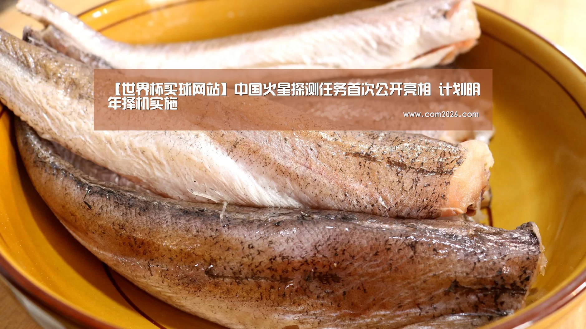 【世界杯买球网站】中国火星探测任务首次公开亮相 计划明年择机实施(图4) 世界杯投注