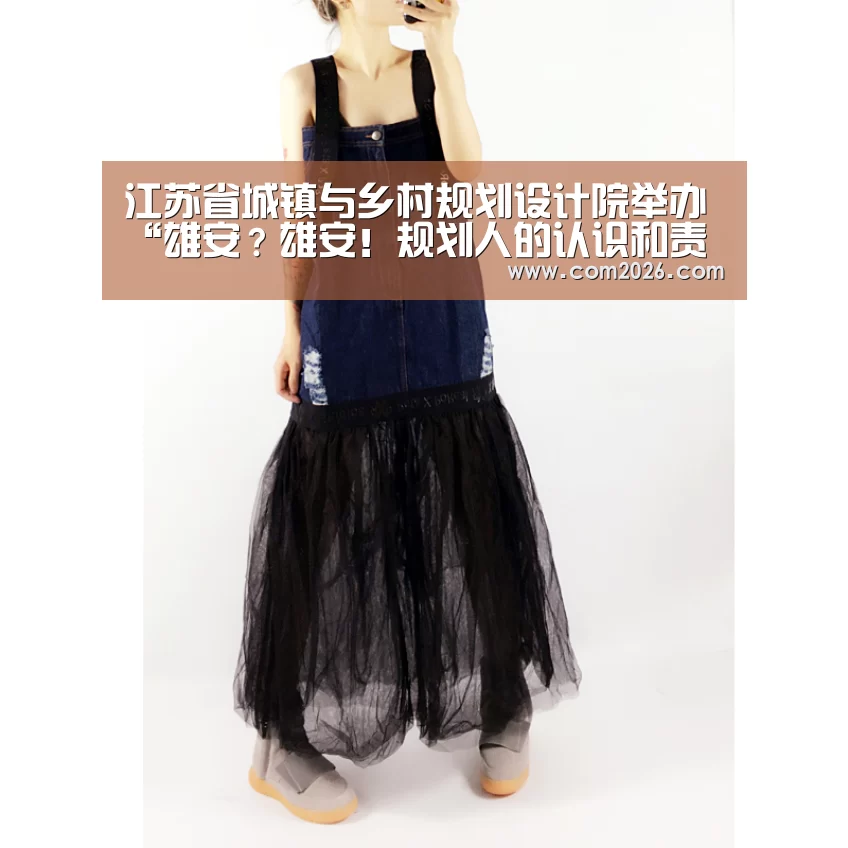 江苏省城镇与乡村规划设计院举办“雄安？雄安！规划人的认识和责任”技术交流会‘世界杯投注’
