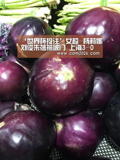 世界杯投注