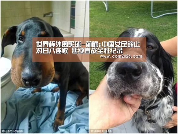 世界杯外围买球-前瞻:中国女足欲止对日八连败 延续首战全胜纪录