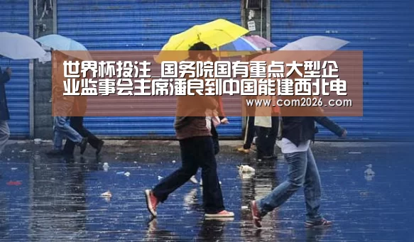 世界杯投注_国务院国有重点大型企业监事会主席潘良到中国能建西北电建调研