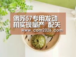 俄苏57专用发动机实现量产 配矢量喷管推重比超F119“世界杯外围买球”